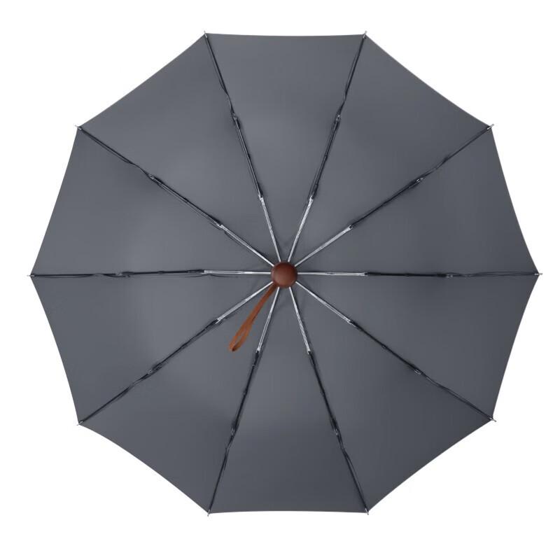 Lijing Tiancheng LJ3018 10-Rib Automatic Sun & Rain Umbrella
