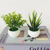 Simulation Aloe Mini Potted Plant Simulation Potted Plant Artificial Plastic Display Mold Bonsai for Home Decor