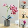 Искусственное растение в горшке, искусственная орхидея-мотылек, бонсай, настольный искусственный фаленопсис, цветы для домашнего обеденного стола, украшения офисного стола