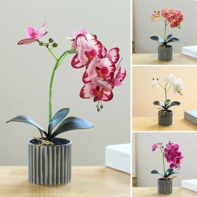 Искусственное растение в горшке, искусственная орхидея-мотылек, бонсай, настольный искусственный фаленопсис, цветы для домашнего обеденного стола, украшения офисного стола