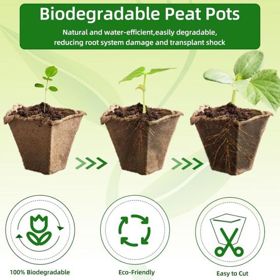 Юшенг 12-ячеечный поддон для рассады Биоразлагаемые горшки для растений Дышащий поддон для проращивания семян с бирками и инструментами для цветов, овощей, трав, домашнего садоводства