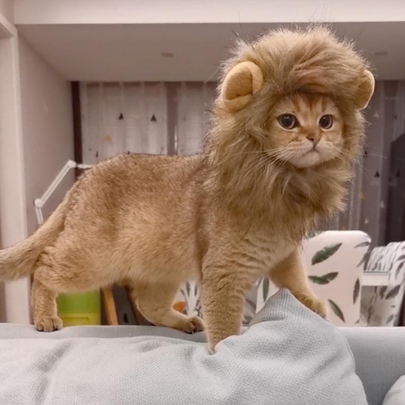 Костюм кошки, милый парик с гривой льва, шляпа для косплея, кепка, наряд для щенка, котенка, украшения для рождественской вечеринки на Хэллоуин