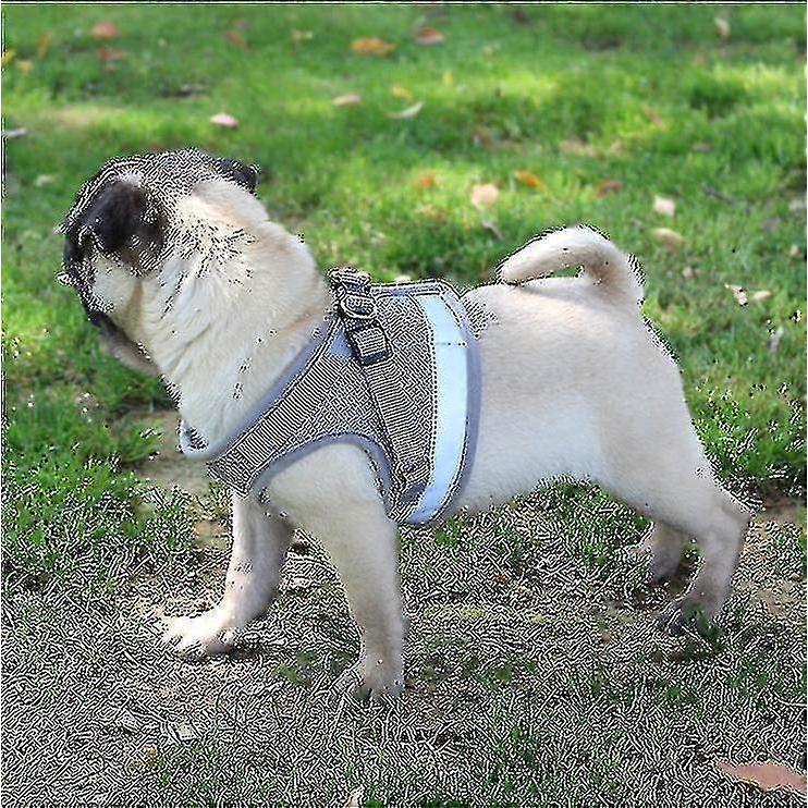 Cat Harness, Cat Harness Escape Proof G