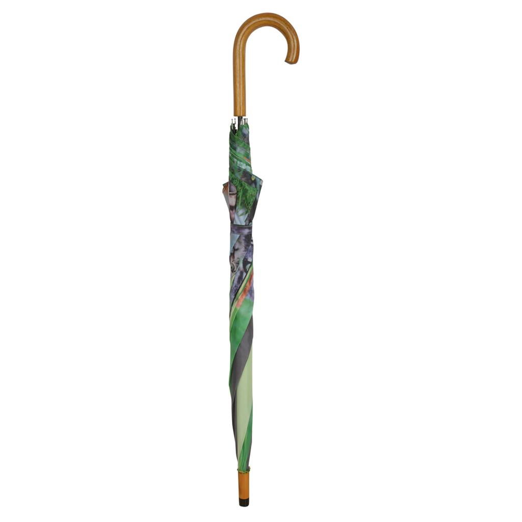 Umbrella With A Cat Motif