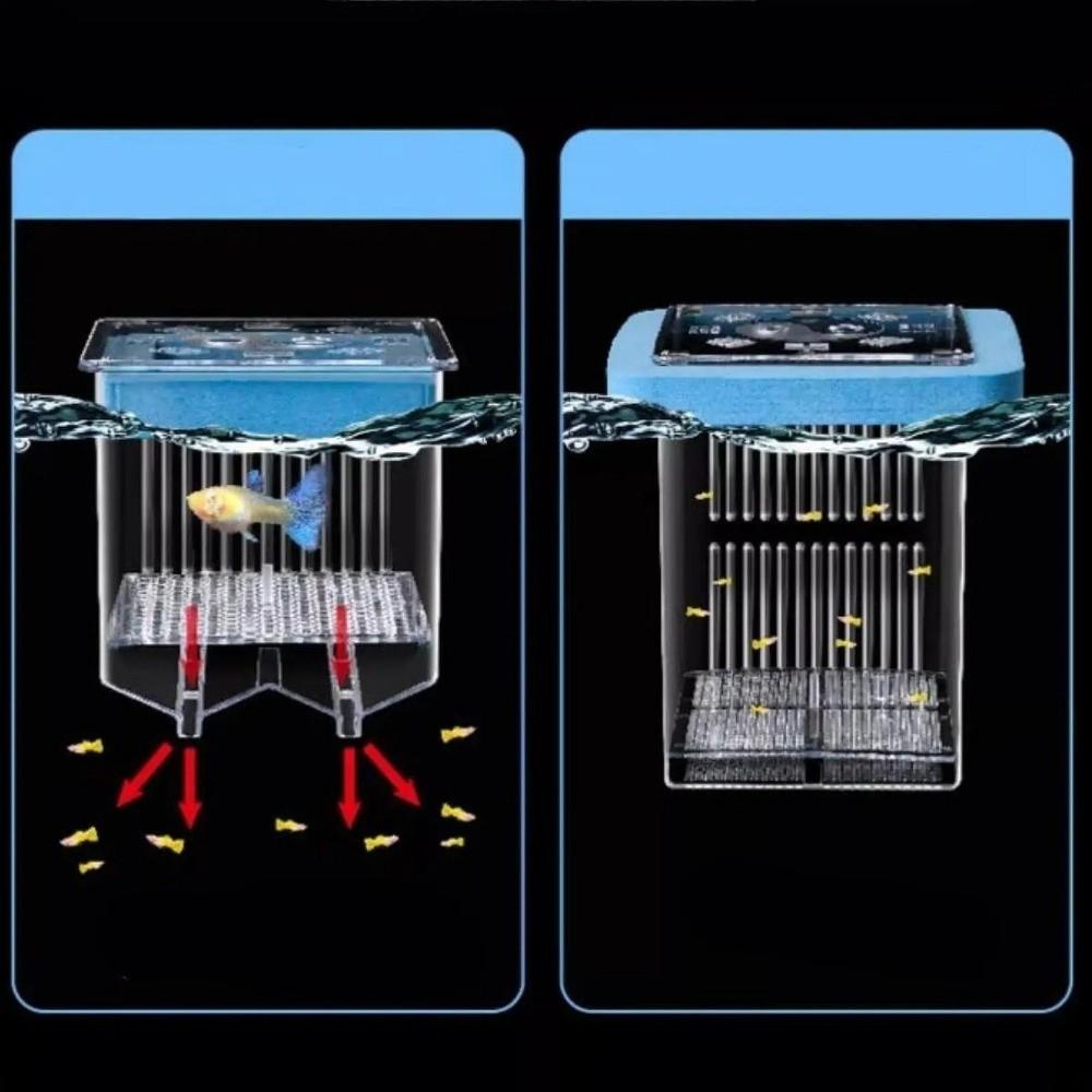 Permeable Floating Hatching Box Transparent Fish Tank Divider Mother Fish Incubator  For Small Fish