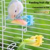 2/4Pcs Pet Bird Food Holder Parrot Fruits Vegetables Clip Bracket Cuttlefish Bone Feeder Device Clamp Bird Cage Accessories