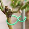 50/100PCS Garden Plant Clips For Vegetable Growing Upright Plant Holder Plastic Bundled Ring Vine Support Garden Stand Tool