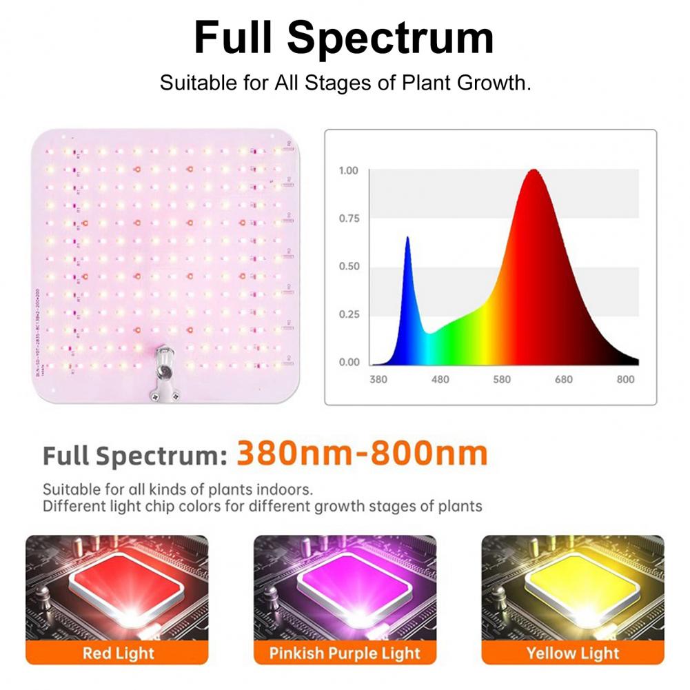 Adjustable Bracket Plant Lamp Telescopic Grow Light with Timer Height Adjustable Full Spectrum Led Grow Light with for Indoor