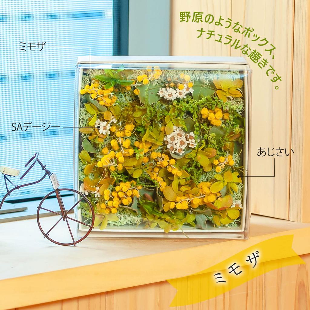 Apron Selection Preserved Flower Box (Sakura) - Perfect for Celebrations, Pink, Made in Japan by a Floral Arranger