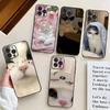 Милый Чехол для Телефона с Кошкой Для IPhone 17 Air 16 15 14 13 Pro Max 11 12 Черный Силиконовый Чехол