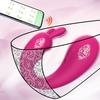 1 шт., портативный вибратор для трусиков G-spot с дистанционным управлением, переносной на большие расстояния, перезаряжаемые секс-игрушки для взрослых, более 9 вибраций для женщин и пар