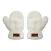 Velvet Winter Gloves Warm Letter Gloves New Plush Gloves  Women