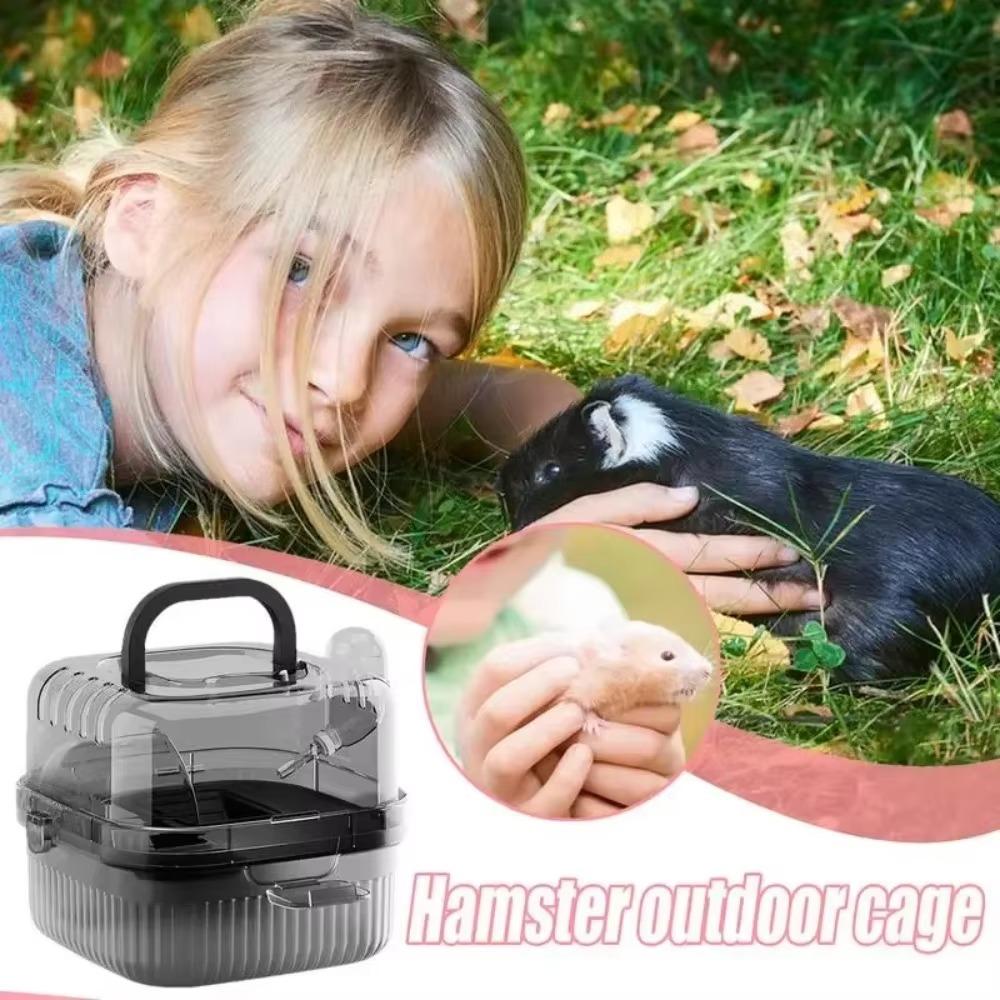 Дышащая среда обитания хомяка Прозрачные клетки для ежей Клетка для путешествий для хомяков Путешествия на открытом воздухе