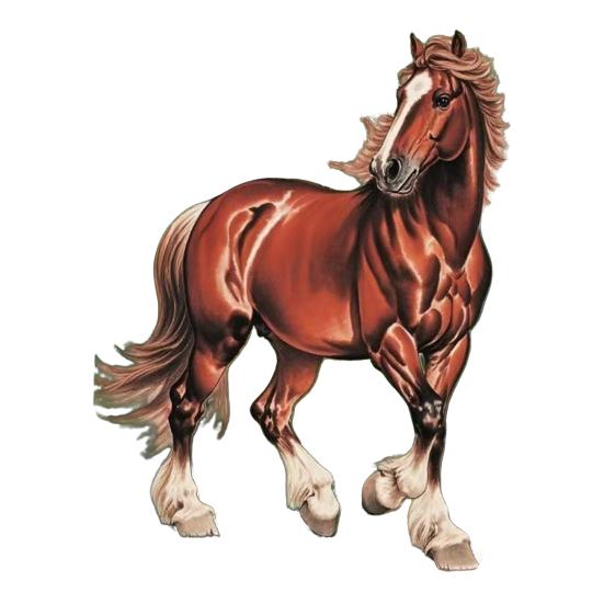 Horse Ornament Acrylic 2D Flat Realistic Flying Horse Christmas Tree Pendant with Sparkling Rhinestone Home Decor