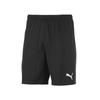 Puma Шорты Team Goal Asian Fit 70637703 Шорты