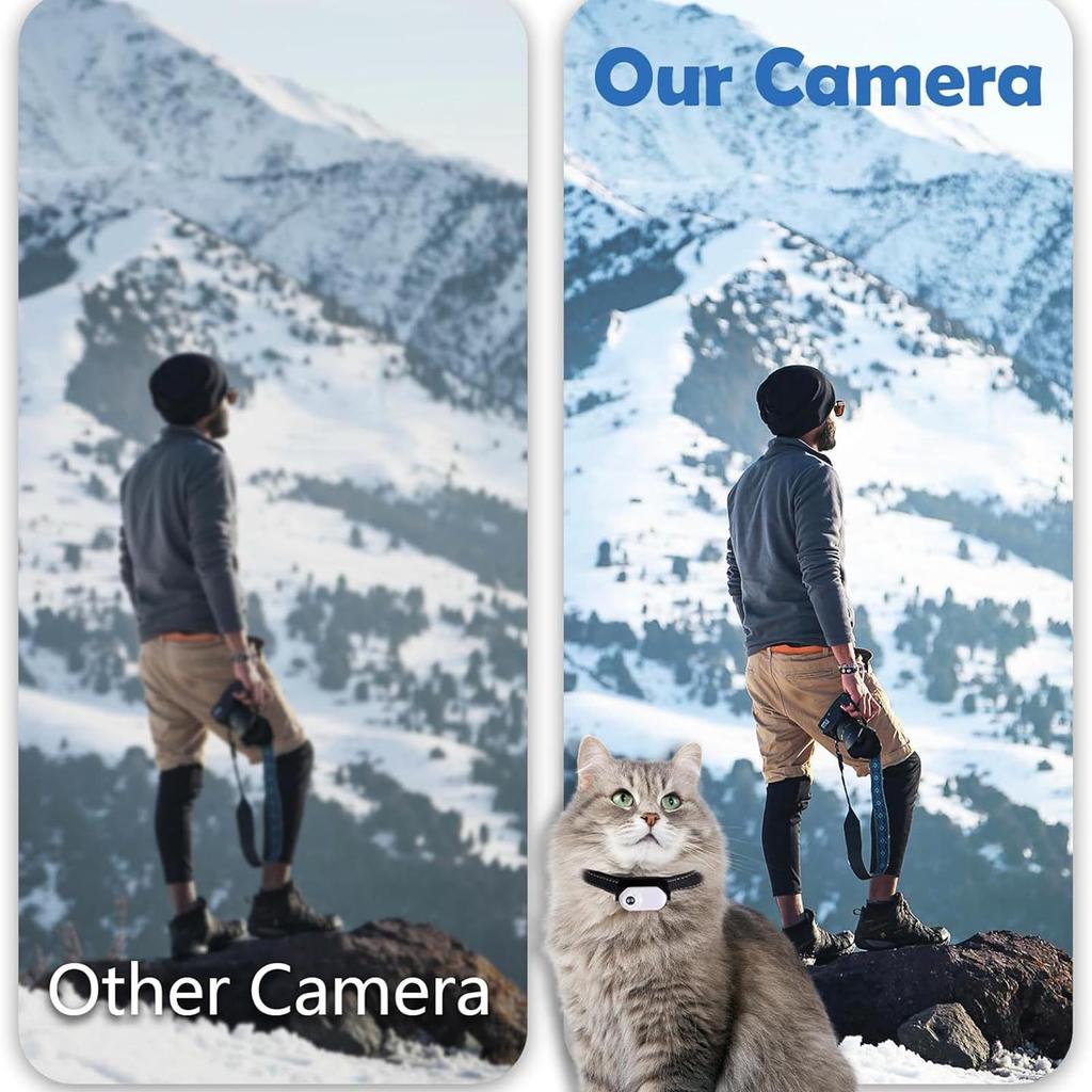 Ошейник с камерой для кошек и картой памяти 8 ГБ, беспроводная маленькая спортивная камера с возможностью записи видео 1080P высокой четкости