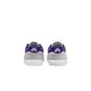 Nike Sb Malor Platinum Tint Wolf Grey Summit White Court Purple Skateboard Shoes FV6064-006