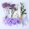 Box Packed Dry Flower Eternal Flower Material Bag DIY Frame Glass Bottle Drip Glue Handmade Real Flower Handicraft Production