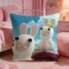 Rabbids IInvasions Anime Cushion Cover Premium Comfort Reversible Pillow Cove Two In One Design For Any Room  Car Interior