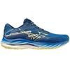 Mizuno Wave Rider 27 Amsterdam беговые кроссовки