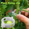 100/200/300Pcs Plant Support Clips Plastic White Green Plant Garden Clip Pepper Eggplant Fixer Tomato Clips Vine Fixing Clips Easy To Use Tool