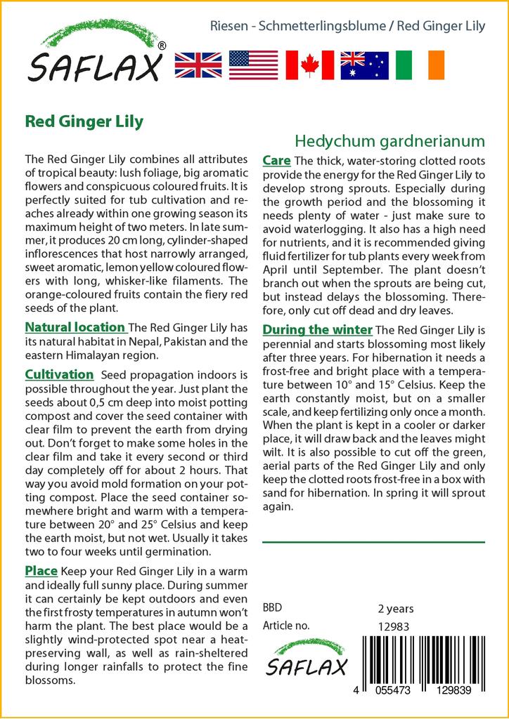 SAFLAX Подарочный набор - Красная имбирная лилия - 10 семян - С подарочной коробкой, карточкой, этикеткой и субстратом для горшков - Hedychum gardnerianum