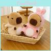 Bear Duck Rabbit Capybara Plush Toy Stuffed Animal Doll Cartoon Decorations