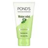 POND'S Oil Control Mint Refreshing Facial Cleanser