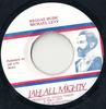 7-дюймовая пластинка MICHAEL LEVY Регги-музыка NONE Jah All Mighty US Reggae Ska Dub Б/у