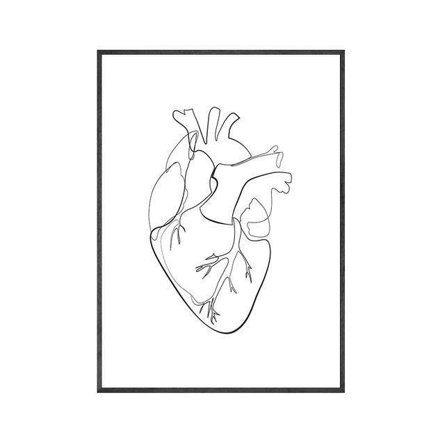 Анатомический скелет, одна линия постеры и принты, анатомический рисунок сердца, иллюстрации, холст, картины для подарка, декор для клиники