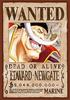 ENSKY Jigsaw Puzzle Wanted Poster 208-Piece "Edward Newgate" 208-075