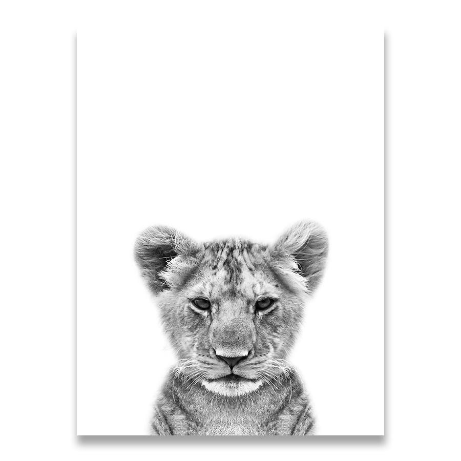 Lion Cub Print Black and White Lioness Animals Posters Safari Nursery Wall Decor Baby Animal Kids Wall Art Canvas Painting