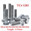 M1.6 M2 M3 M4 M5 M6 M8 M10 x 6-80 мм TC4 GR5 Титановый сплав Шестигранная головка Болт Винт Велосипед Мотоцикл