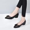 Women Chunky Heels Shoes  Spring Metal Buckle Square Toe Low Heeled Women Shoes Vintage Dress Woman Pumps Pointed Toe Shoes