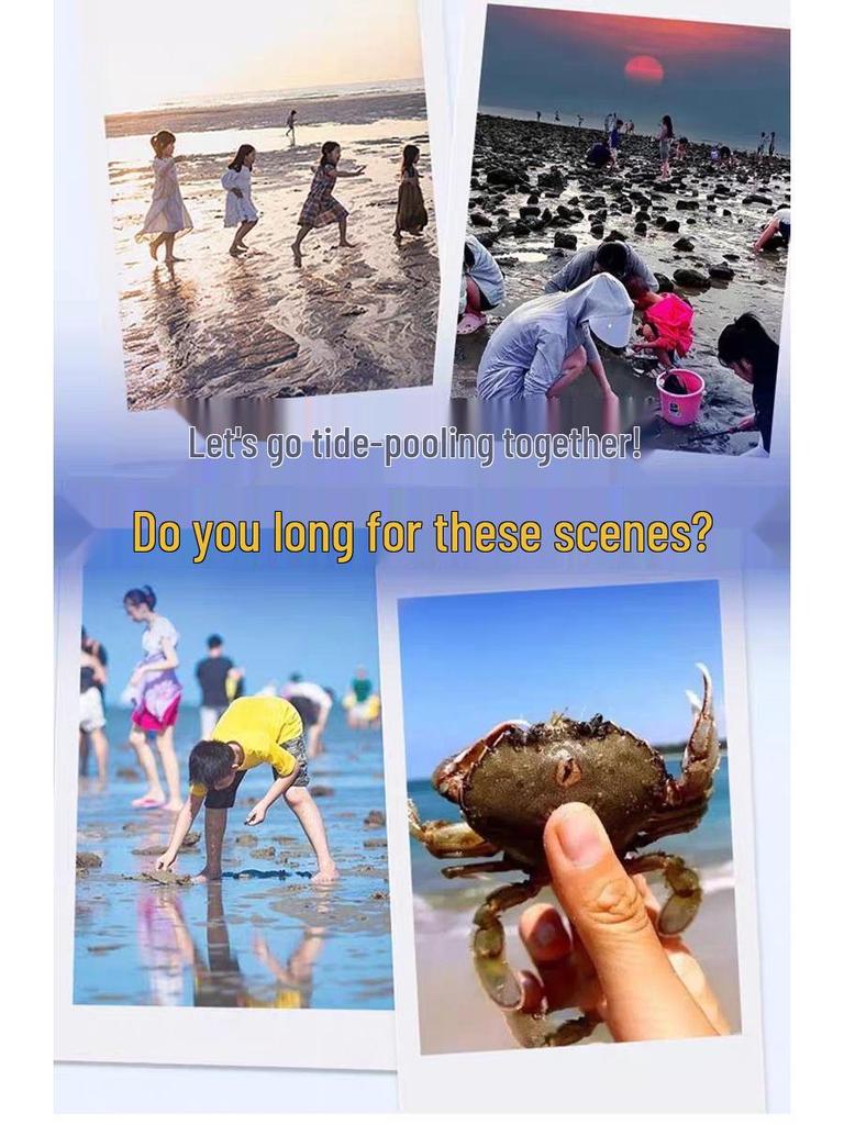 Детский пляжный игровой набор «Охотник за приливами»: Включает песочную лопатку, грабли, инструменты для моллюсков и крабов.