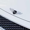Car Styling Front Hood Trunk Stickers for Citroen DS C3 C4 C5 C1 C2 Berlingo Xsara Picasso Saxo C-Elysee Decoration Accessories