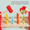 Educational Game Toddler Hammer Nails Toys Montessori Nail Screw Games  Fine Motor Training