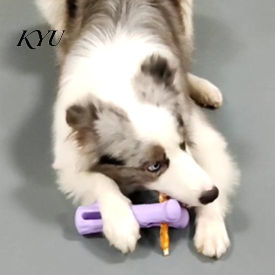Tough Dog Toys for Aggressive Chewers Treat Stick Holder, Prevents Choking, Rubber Chew Toy, Safe TPR Branch Shape, Teeth Cleaning Toy Small