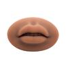 Татуировка Практика Гибкая Безопасная Многоразовая Практика Шаблон Кожи Губы 3D Форма Для Губ