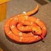 Adorable Realistic Plush Snake Toy Ultra Soft Cartoon Style For Pranks And Fun