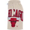 Nike Chicago Bulls NBA Letter Print Drawstring Sports Casual Straight Basketball Брюки мужские брюки Серые DB1945-051
