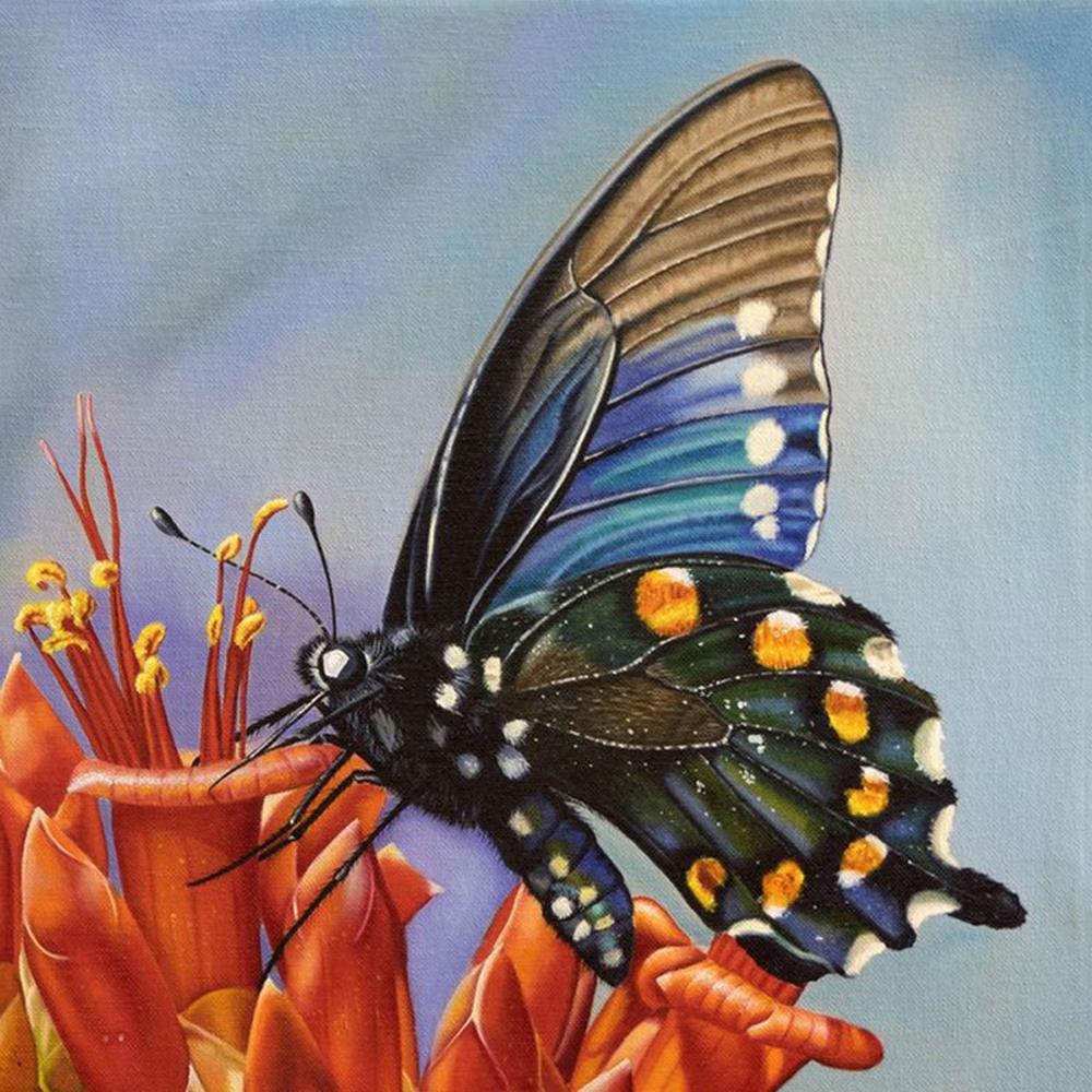 Diy 5D алмазная живопись Бабочка Цветок Алмазная вышивка набор крестиков мозаичная картина украшение дома подарок на Новый год