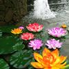 1PCS Lifelike Multi-color Lotus Floating Foam Flowers, Suitable for Ponds and Aquariums, 4-inch Garden Decoration Festival Decor