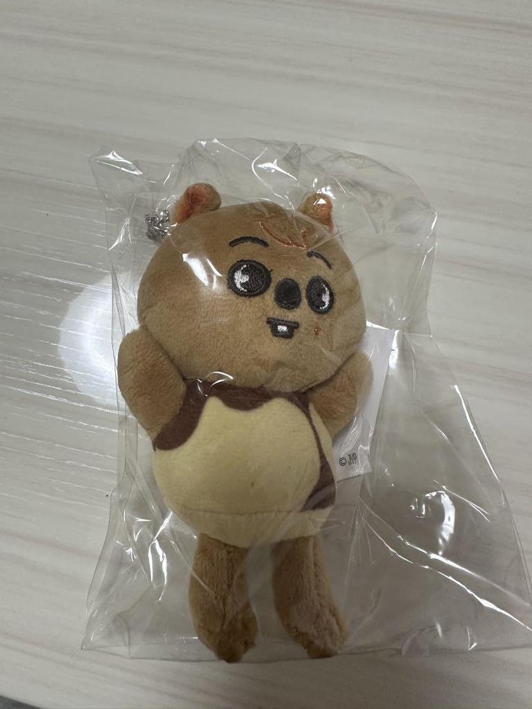 [USED] Skzoo Hankookoka Plush Toy with Strap