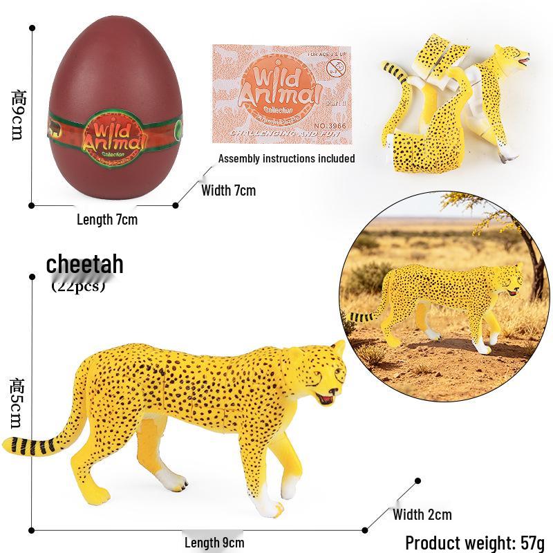 4D Stereo DIY Animal Model Kit: Eagle, Scorpion, Gecko, Rattlesnake, Spider, Lizard, Squirrel, Hedgehog