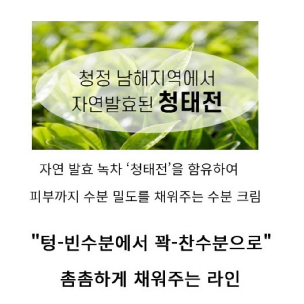 TONYMOLY Увлажняющий крем с зеленым чаем, 60 мл, 1 шт.