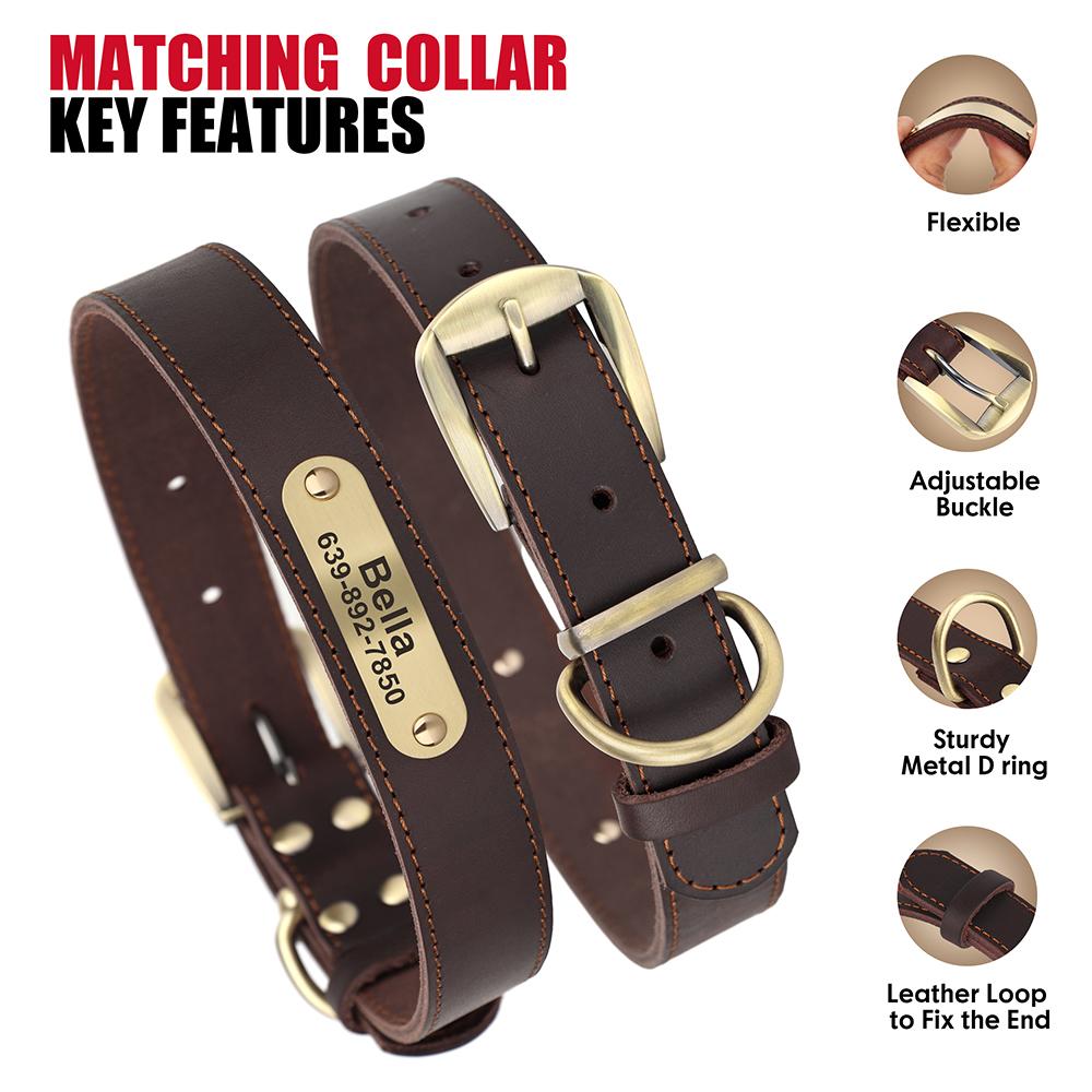 Real Leather Dog Collar Leash Set Personalized Pet Collar With Leash Free Engraving Nameplate For Small Medium Large Dogs