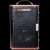 Miga A6 Professional Guitar & Vocal Amplifier
