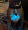 Personalized Engraved Name Glitter Acrylic LED Dog Tag Night Walking Safety Light