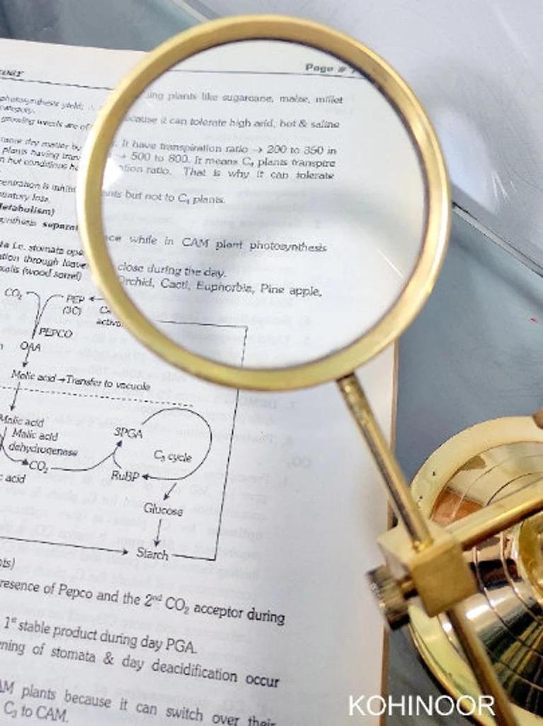 Brass Adjustable Magnifying Glass: Desktop Decor, 4X Lens